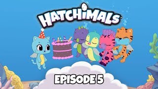 Hatchimals  Episode 5  Hatchy Birthdays Forever  TEAM HATCH YouTube Series [upl. by Enrika]