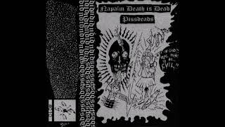 NAPALM DEATH IS DEAD  PISSDEADS  Split Tape 2018 [upl. by Enrika]