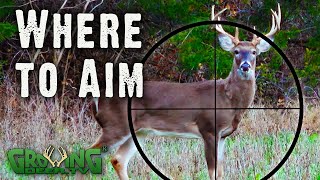 Where to Aim A Guide for Deer Hunters from Real Hunts 564 [upl. by Kuhn]