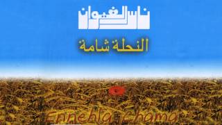 Nass El Ghiwane  Nahla Chama Official Audio  ناس الغيوان  نحلة شامة [upl. by Ailahtan]