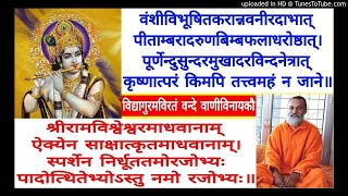 Advaita Siddhi ASI 001 Swami Shantidharmananda Saraswati [upl. by Einnaffit]