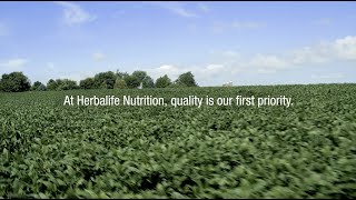 Herbalifes Gold Quality Standards  Herbalife Nutrition [upl. by Ynaffital462]