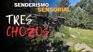 SIERRA DE GUADARRAMA ASMR NATURALEZA Senderismo Sensorial [upl. by Oilejor125]