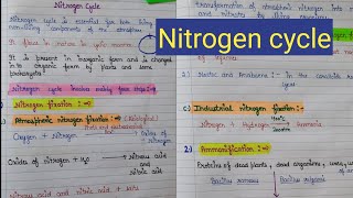 Nitrogen cycle  nitrogen fixation  what is nitrogen cycle [upl. by Ntsuj]