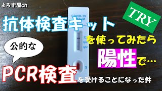 抗体検査キットを使ったら陽性で…なんやかんやで公的なPCR検査を受けることになった件 [upl. by Eelahs]