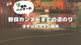 のんびり銅バッチ目指す アラマキ砦【スプラトゥーン3サーモンランNW】 10 salmonrun [upl. by Adiam]