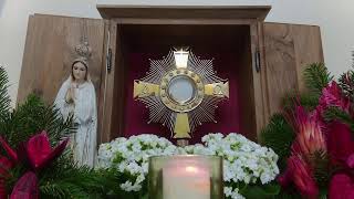 LiveEucharistic Adoration from 3ltv Vienna Austria [upl. by Aniala]