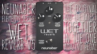 68 Neunaber Audio Elements Series  Wet Reverb v5 [upl. by Ali907]