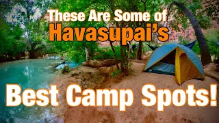 Havasupai  CAMPGROUND Walkthrough the Most Beautiful Campsite EVER [upl. by Speroni]