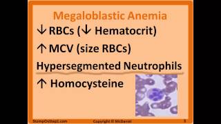 Folate amp B12 Deficiency Megaloblastic Anemia Hypersegmented Macrocytic Methylmalonic [upl. by Diana]