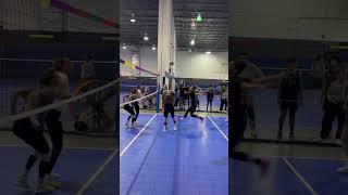 So many great rallies from this past weekend 🏐🤩 IndoorVolleyball WomensVolleyball NewJersey [upl. by Eehc951]