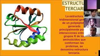 laboratorio de bioquímica punto isoeléctrico de las proteínas [upl. by Aztinad]