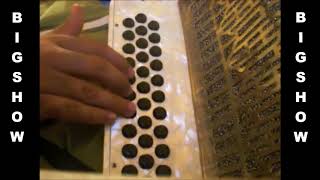 el mochomo los canelos tutorial instruccional slow acordeon fa principiante [upl. by Sello]