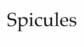 How to Pronounce Spicules [upl. by Halehs915]