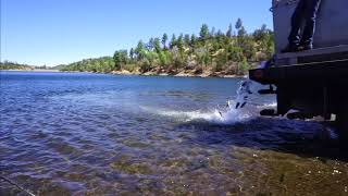 Trout Stocking Lynx Lake [upl. by Lamori889]