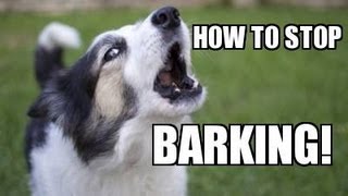 How to TEACH ANY DOG to STOP BARKING Humanely Effectively and Naturally [upl. by Campos]