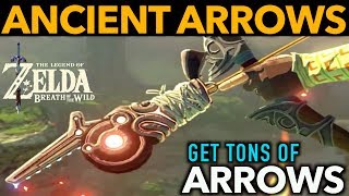 Ancient Arrows  How to Find the Most Powerful Arrows in Zelda Breath of the Wild [upl. by Kenyon]