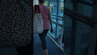 Boarding The Ship Fall Vacation Pt 2 cobi funny shorts royalcaribbean wonderoftheseas [upl. by Anilasor]