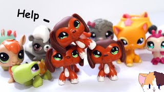 LPS The Dachshund Dilemma [upl. by Ignatz]