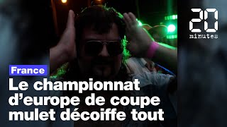 Le championnat dEurope de la coupe mulet a encore tout décoiffé [upl. by Lemrej556]