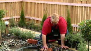 How To Create A Water Garden  DIY At Bunnings [upl. by Nwahsyar]