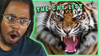 REACTING THE THE CAT TIER LIST TIER ZOO REACTION [upl. by Teragramyram]