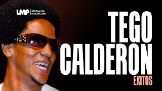 Tego Calderon Reggaeton Exitos  DJ Fibo [upl. by Haikan91]