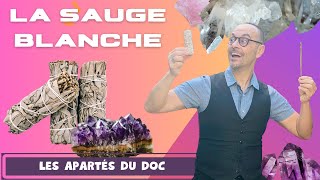 Les Apartés du Doc vol1  La SAUGE BLANCHE sa purification son histoire ses propriétés [upl. by Atirat]