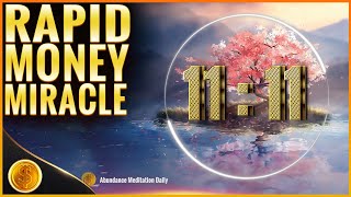 1111 Hz Money miracle 1111 Hz Rapid Money Music Money prosperity luck and wealth Attract Money [upl. by Ainos]