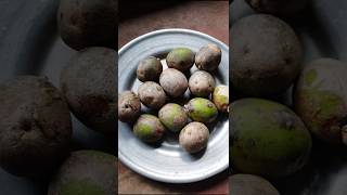 Amra diye choto macher recipefood shortvideo recipe [upl. by Ennej914]