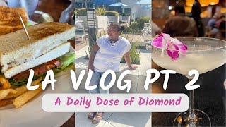 LA Vlog Pt 2  Brunch in Beverly Hills Meeting My Baby Nephew Shopping Family Time amp Din Tai Fung [upl. by Ailec]