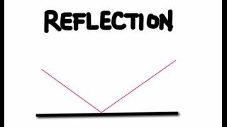 The Law of Reflection and Plane Mirrors [upl. by Dyche606]