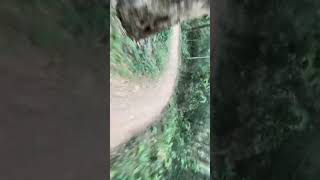 Gap creek mountain bike trails [upl. by Atiran944]