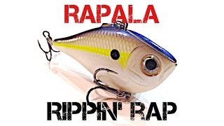 Lure Review Rapala Rippin Rap [upl. by Graff440]