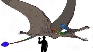 Cryptids and Monsters The Ropen the quotDemon Flyerquot a pterosaur found within New Guinea Island [upl. by Kristal]