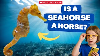 SEAHORSE 🌊 🐴 Facts for Kids  A SEAHORSE Can Lay Hundreds of EGGS 🥚 [upl. by Alabaster]