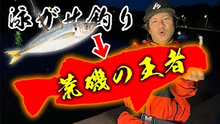 堤防から生きたアジを泳がせると秒で釣れる高級魚！！ [upl. by Annoyi988]