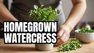 How to Grow Watercress at Home Easy [upl. by Chaworth386]