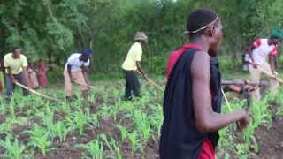 Tanzania Sukuma Bachonga Magembe working in the fields [upl. by Estella35]