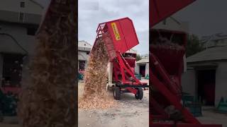 Threshed corns unloading process Good technology and machinery make work easy [upl. by Teage]