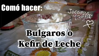 Comó hacer los Bulgaros y Kefir de leche  Todo el proceso y productos finales  Jocoque [upl. by Asinla]