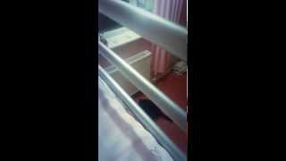 cat climbing bunk bed stairs EPIC [upl. by Alban]