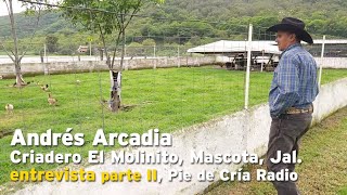 Andrés Arcadia Criadero El Molinto entrevista parte II Pie de Cría oficial [upl. by Ajak]