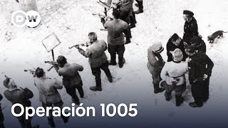 Cómo los nazis borraron sus crímenes  DW Documental [upl. by Pradeep876]