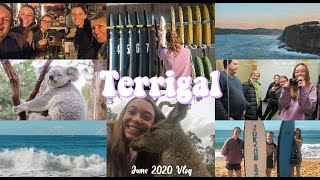 Terrigal Vlog [upl. by Sully]