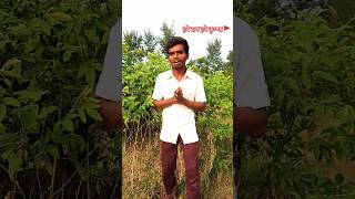 Hare Rama hare Krishna 🚩🙏 song shortsfeed comedy chandanjaybihar shortvideo youtubeshorts new [upl. by Mixie]