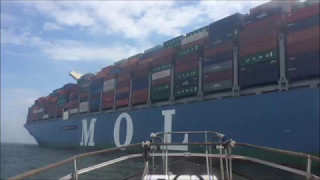 The biggest ship to dock in the UK berths in Southampton timelapse [upl. by Aitnwahs]