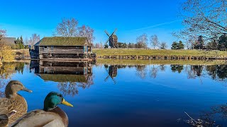 Gifhorner Schloẞ See und Mühlensee vom Windmühlenmuseum 4k [upl. by Ohl]