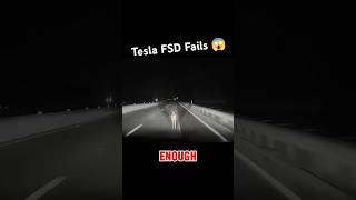 Tesla’s FSD Fails To Detect Deer On The Road Doesn’t Even Slow After Impact shorts teslafsdbeta [upl. by Htebezile586]