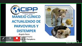 TRATAMIENTOS ACTUALIZADOS PARA DISTEMPER CANINO Y PARVOVIROSIS [upl. by Eiuqnimod]